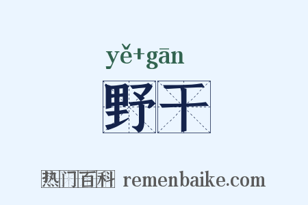 野干是什么意思的图片